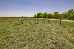 IMG_7985