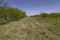 IMG_7994