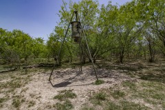 IMG_7997