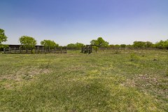 IMG_8015