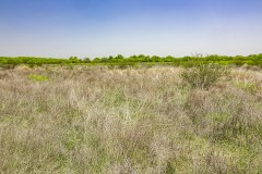IMG_8025