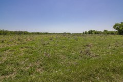 IMG_8031