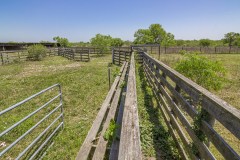 IMG_8041