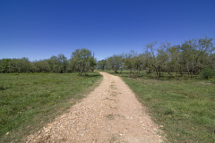 Stubbs-Ranch-Road