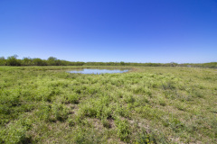 Stubbs-Ranch-back-pond