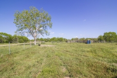 cattle pens