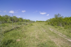 high fence