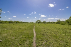 open areas
