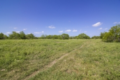 pasture