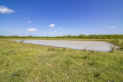 third stock tank
