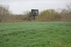 308+/- Acres - Victoria County