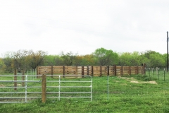 cattle pens 2