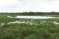 second stocked pond