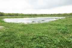 stocked pond