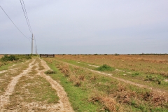 back fencing