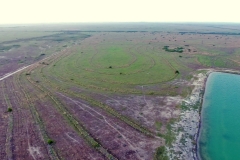 back pastures 2