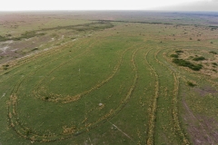 back pastures