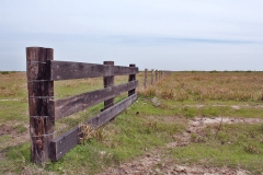 cross fence