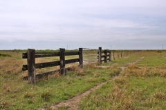 cross fencing 2
