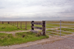 fencing