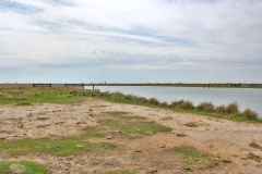 front pond 2