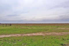 pasture land