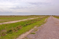 paved road 2