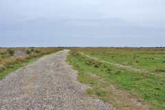 paved road 3