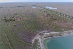 pond aerial