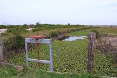 water control
