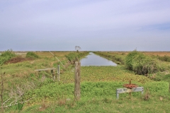 water in canal