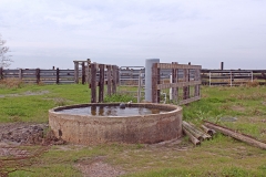 water trough