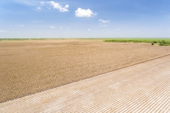 DJI_0023