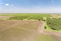 DJI_0030
