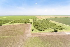 DJI_0031