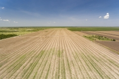 DJI_0044
