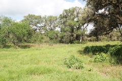 koontz ranch 1
