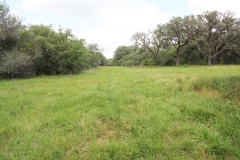 koontz ranch 10