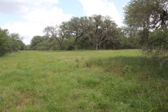 koontz ranch 11