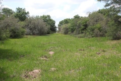 koontz ranch 12
