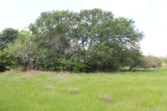 koontz ranch 13
