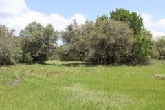 koontz ranch 15