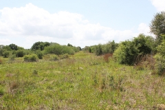 koontz ranch 6