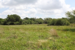 koontz ranch 7