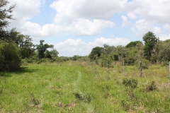 koontz ranch 8