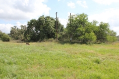 koontz ranch elect 2