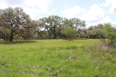 koontz ranch main