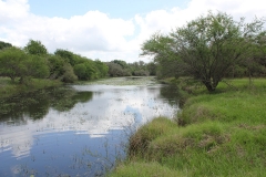 koontz ranch pond