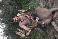 buck
