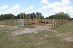 cattle pen mini